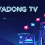 yadongtv91 com Profile Picture