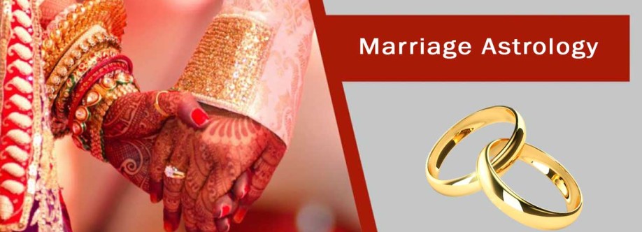 festival info Cover Image