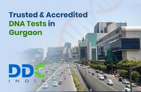 Immigration DNA Tests in Gurgaon Helping Families Move Forward with Ease - MediumBloggers