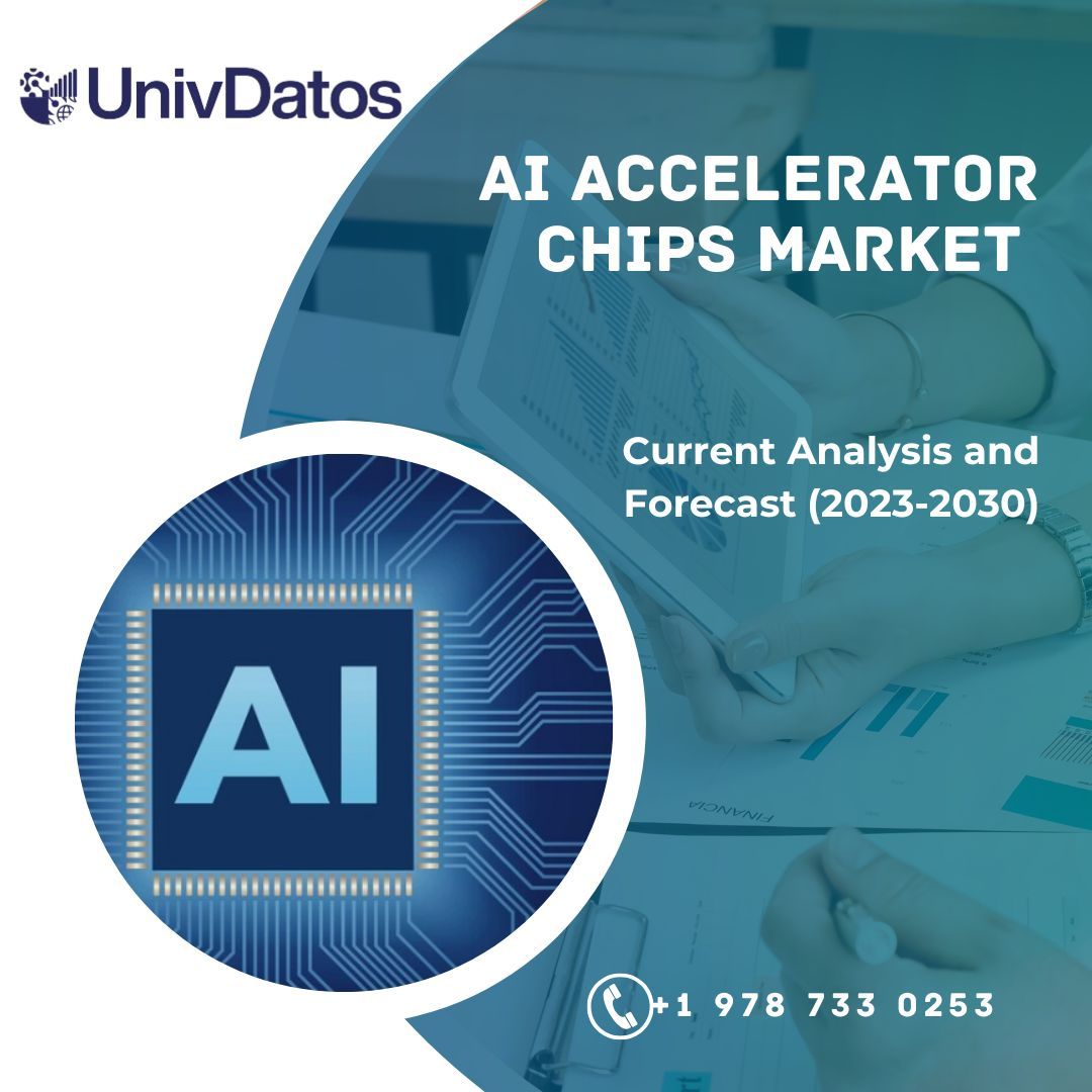 AI Accelerator Chips Market Size & Share Report, 2030