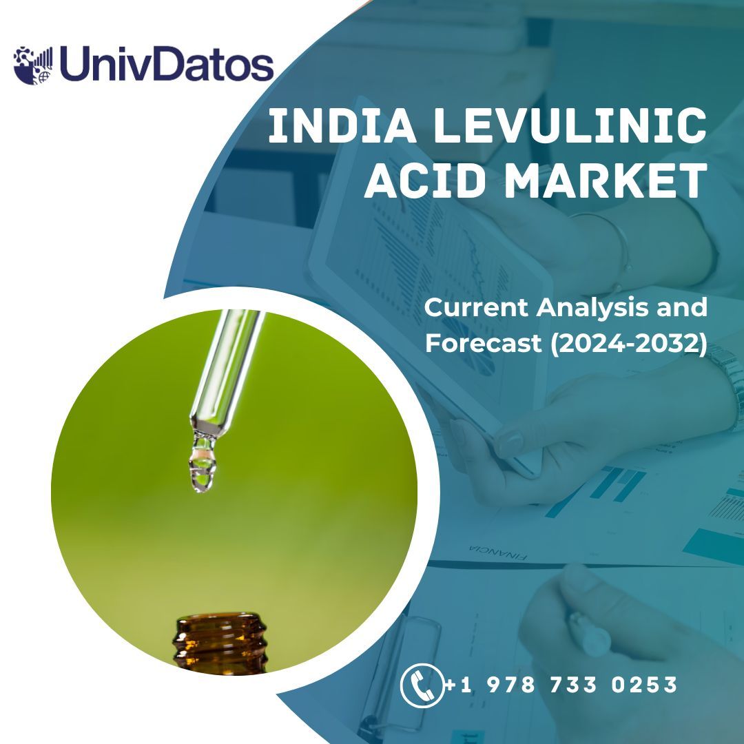 India Levulinic Acid Market Growth and Forecast to 2032