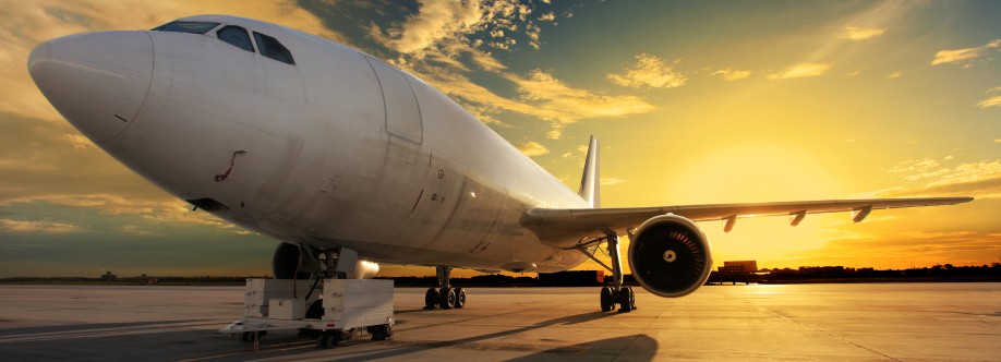 The Jersey Flights Cover Image