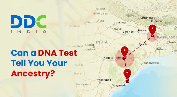 Unlock the Past with an Ancestry DNA Testing Procedure - AtoAllinks