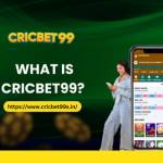 online cricketid profile picture