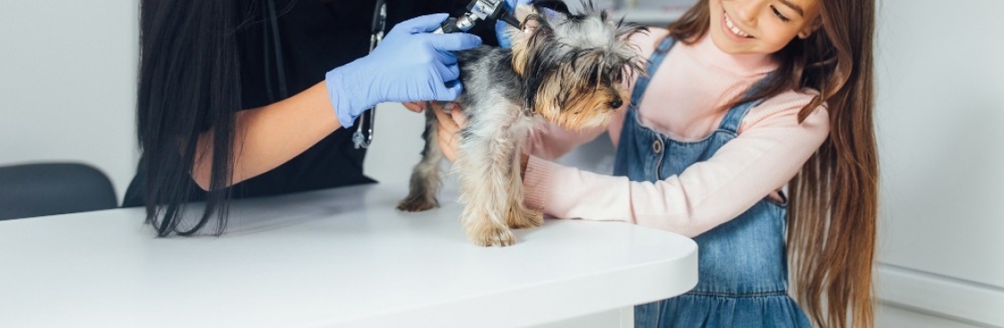 The Groomer Cover Image