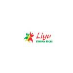 Liyu Ethiopia Tours Profile Picture
