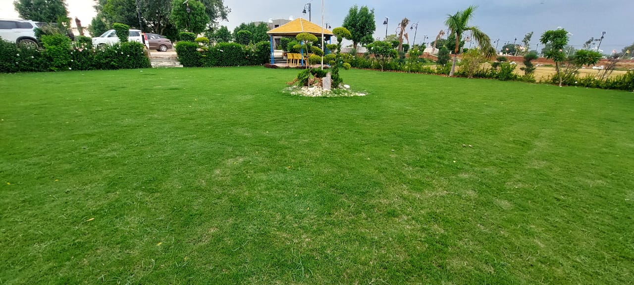 Commercial Plot in Jewar Airport: The Smart Investment Opportunity by Maxpine Group