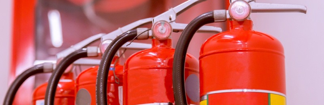 lone star fire and first aid Cover Image