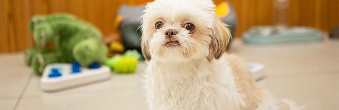 Pets Corner Cover Image