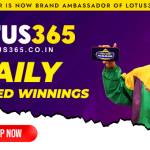 Lotus365 Login profile picture