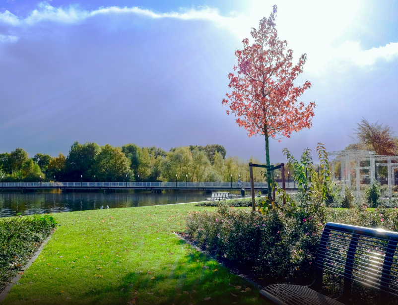 Premium Land for Sale in Vrindavan – Invest Smartly with Brij Vrinda for a Peaceful Profitable Fut - Tripoto