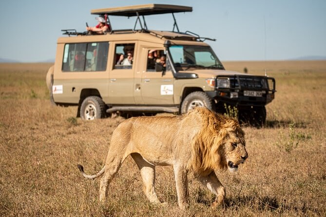 Affordable Safari from Nairobi to Mombasa: Budget-Friendly Travel Guide