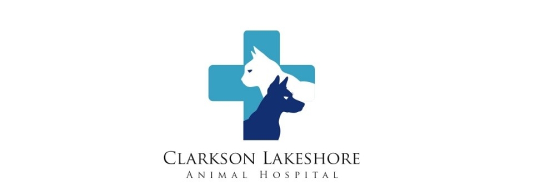Clarkson Lakeshore Cover Image