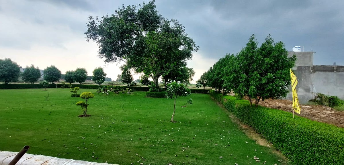 Commercial Property Near Jewar Airport: Best Investment Opportunity with Angrah Homes