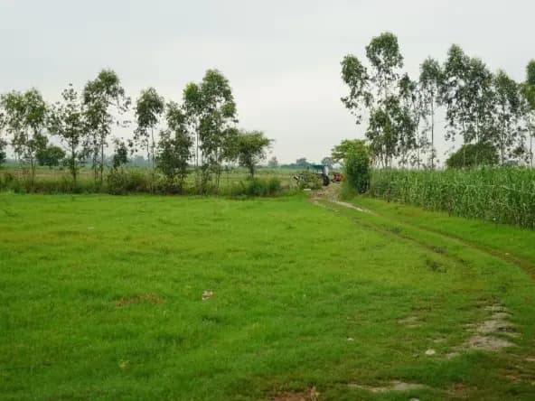 Agriculture Land for Sale in Haridwar – Invest Smartly with The Club Farm: ext_6920980 — LiveJournal