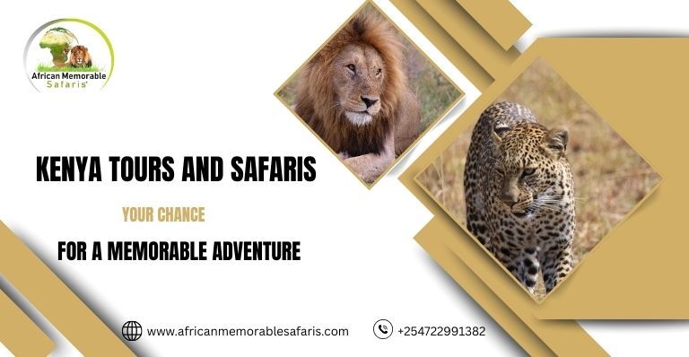 Kenya Tours and Safaris: Your Chance for a Memorable Adventure