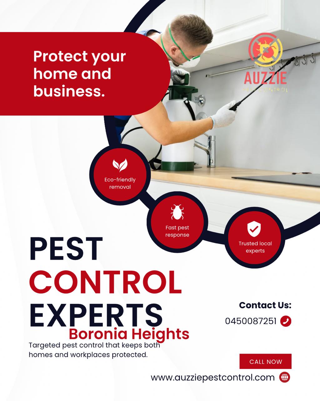 Pest Control Services Boronia Heights - Auzzie Pest Control
