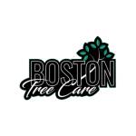 boston tree care Australia Profile Picture