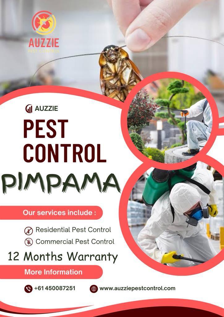 Expert Pest Control Services in Pimpama