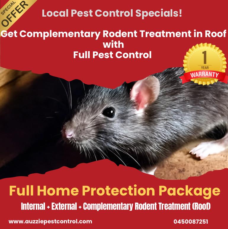 Pest Treatment Services in Yeronga