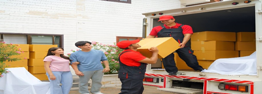 Removalist Auction Cover Image