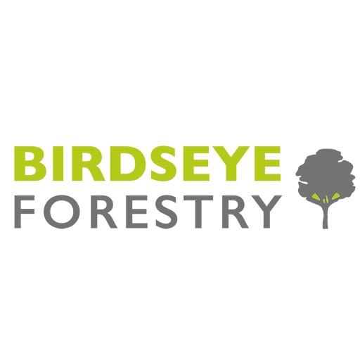 Vermont Sustainable Forest Management & Consulting | Birdseye Forestry