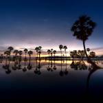 palm angels profile picture