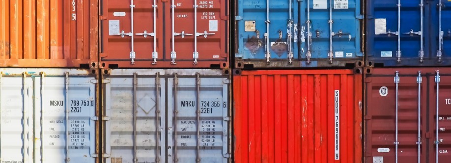 zipplinc Cover Image