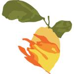 Lemons Clothing Profile Picture