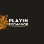 playin exch profile picture