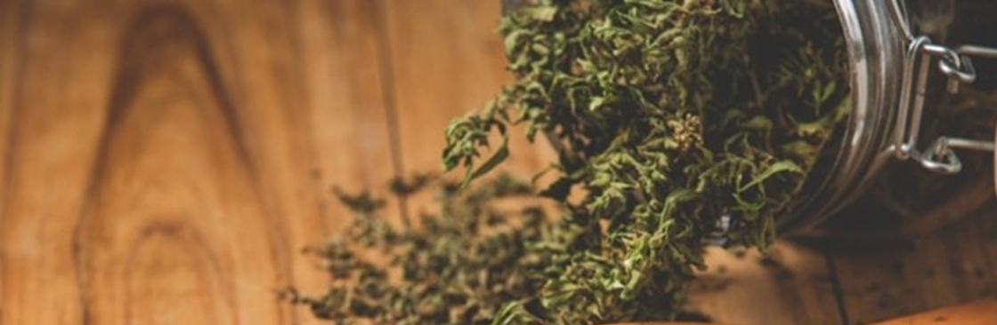 Green Therapy Cover Image