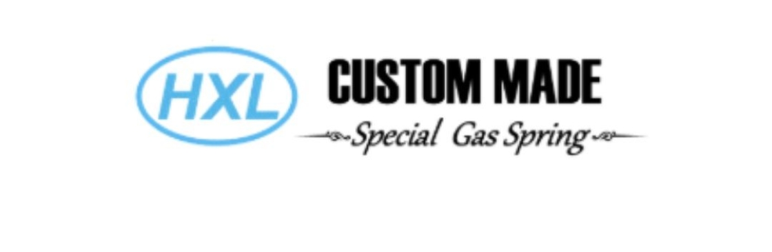 HXL Gas Springs Co Ltd Cover Image