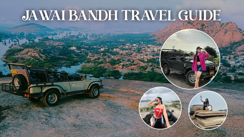 Jawai Bandh Travel Guide 2026