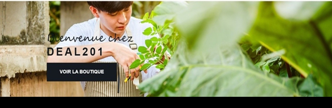 DEAL201 Avis Cover Image