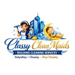 classy clean services Profile Picture
