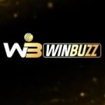 win workflow Profile Picture
