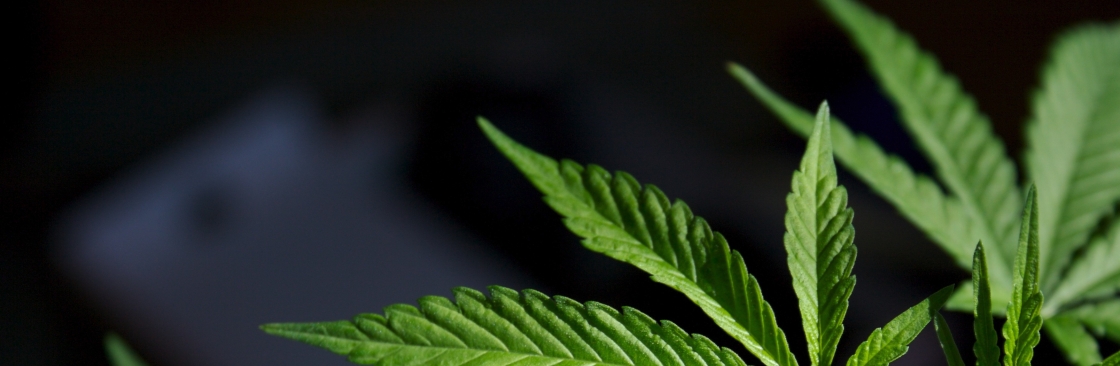 Oklahoma Medical Marijuana Card MMJ Docs Cover Image