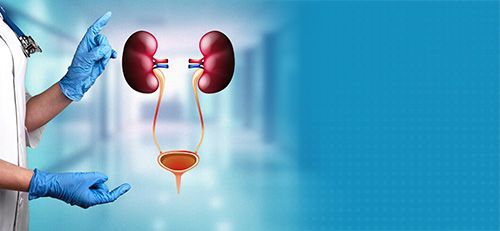 Best Healthcare Guide: Finding a Urology Hospital in India and Advanced Kidney Stone Treatment – @tasknetworkx on Tumblr