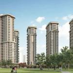 Ace sector 150 Noida Profile Picture