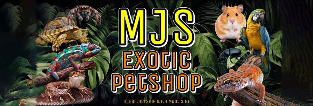 Exotic Pet Shop in Belfast & Lisburn | Rare & Healthy Pets