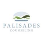 Palisades Counseling Profile Picture