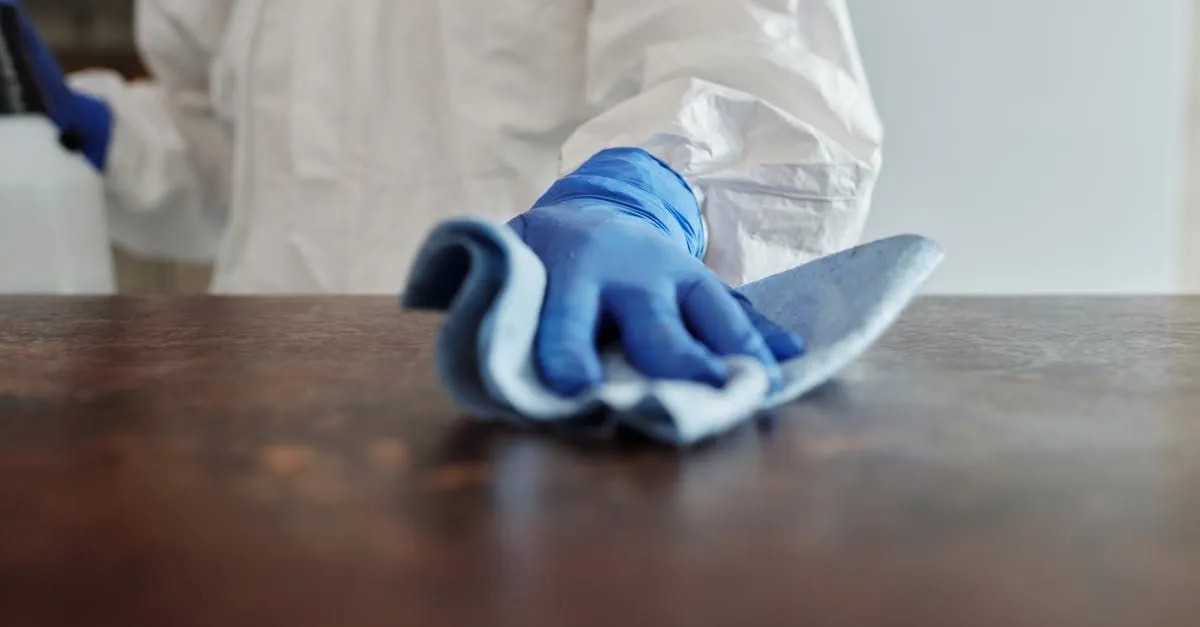 Maid Services Profile Picture