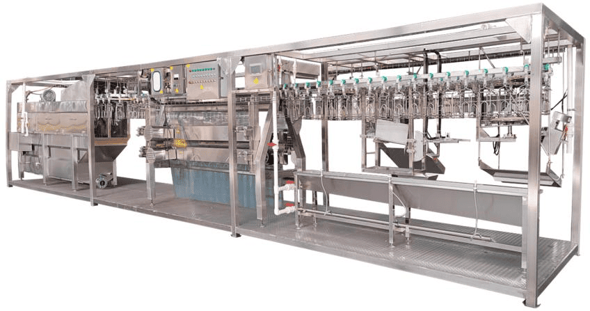 500 BPH Chicken Slaughtering Line Manufacturer - Furuida