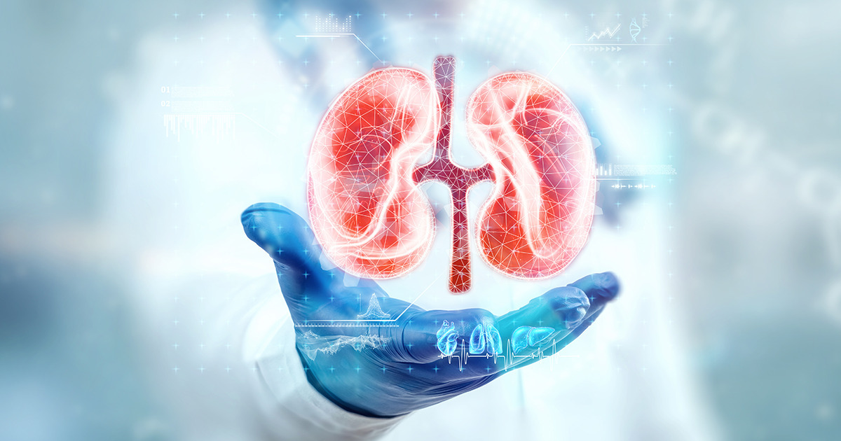 Urologist In Bangalore: Finding the Right Specialist for Advanced Urological Care – @tasknetworkx on Tumblr
