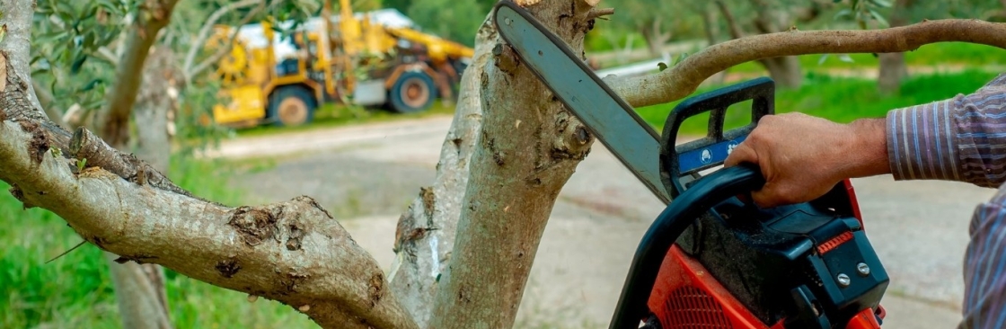 Sesmas Tree Service LLC Cover Image