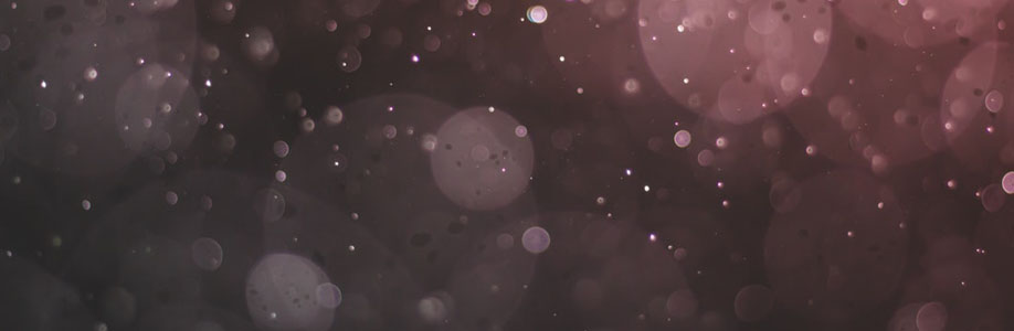 Essentials Hoodie Austria Cover Image