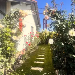 Casa individuala mobilata