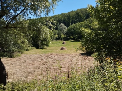 Teren de vanzare