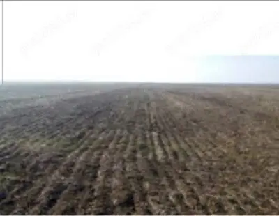 Vand Teren arabil 4 hectare in Costesti, Buzau