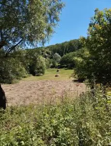 Apartament e camere central